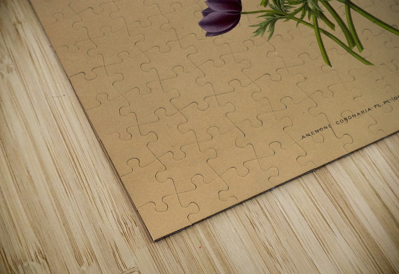 Album van Eeden : Haarlems flora : 1872-1881 IStockHistory com Puzzle