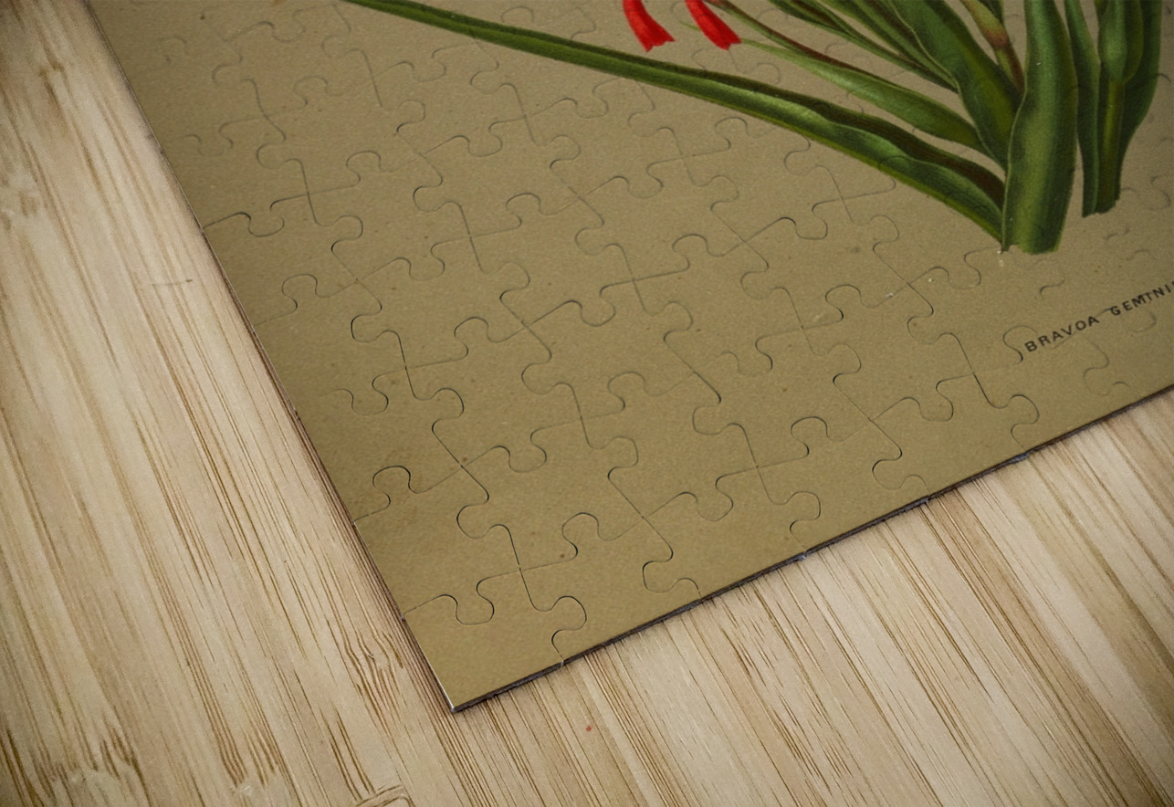 Album van Eeden : Haarlems flora : 1872-1881 IStockHistory com Puzzle