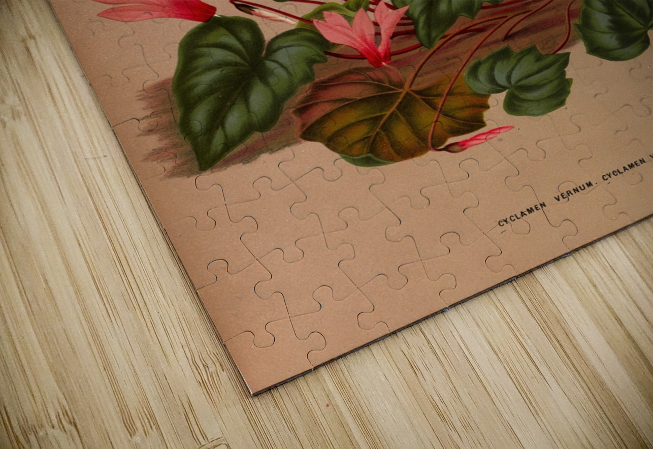 Album van Eeden : Haarlems flora : 1872-1881 IStockHistory com Puzzle