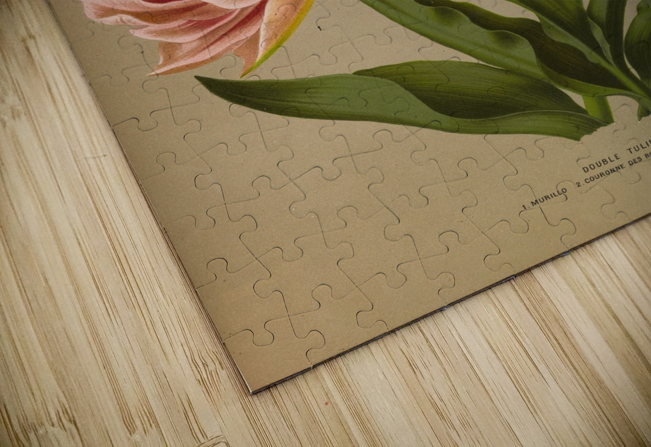 Album van Eeden : Haarlems flora : 1872-1881 IStockHistory com Puzzle