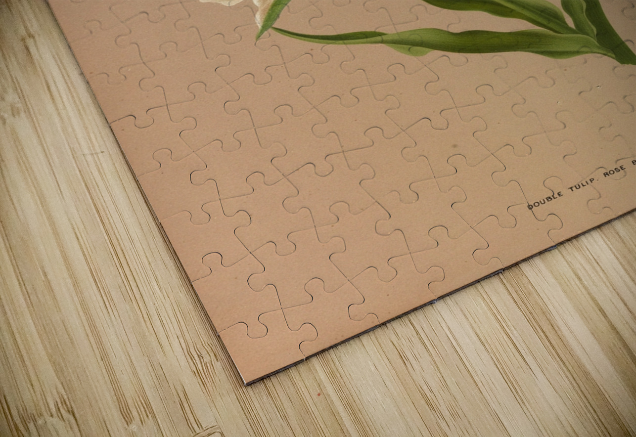 Album van Eeden : Haarlems flora : 1872-1881 IStockHistory com Puzzle