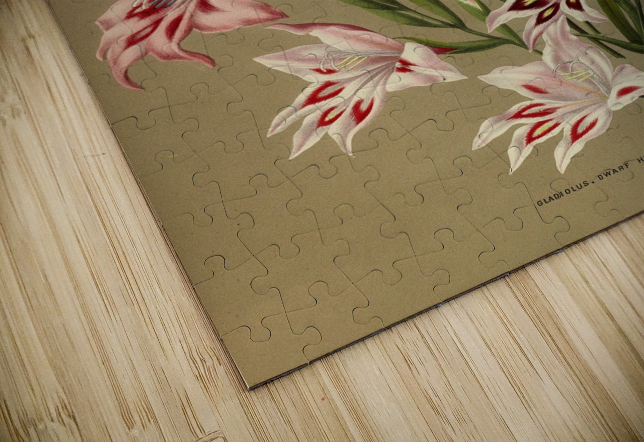 Album van Eeden : Haarlems flora : 1872-1881 IStockHistory com Puzzle