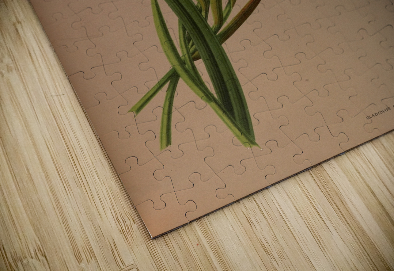 Album van Eeden : Haarlems flora : 1872-1881 IStockHistory com Puzzle