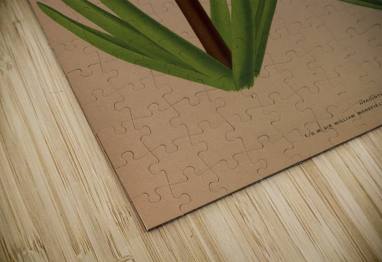 Album van Eeden : Haarlems flora : 1872-1881 IStockHistory com Puzzle