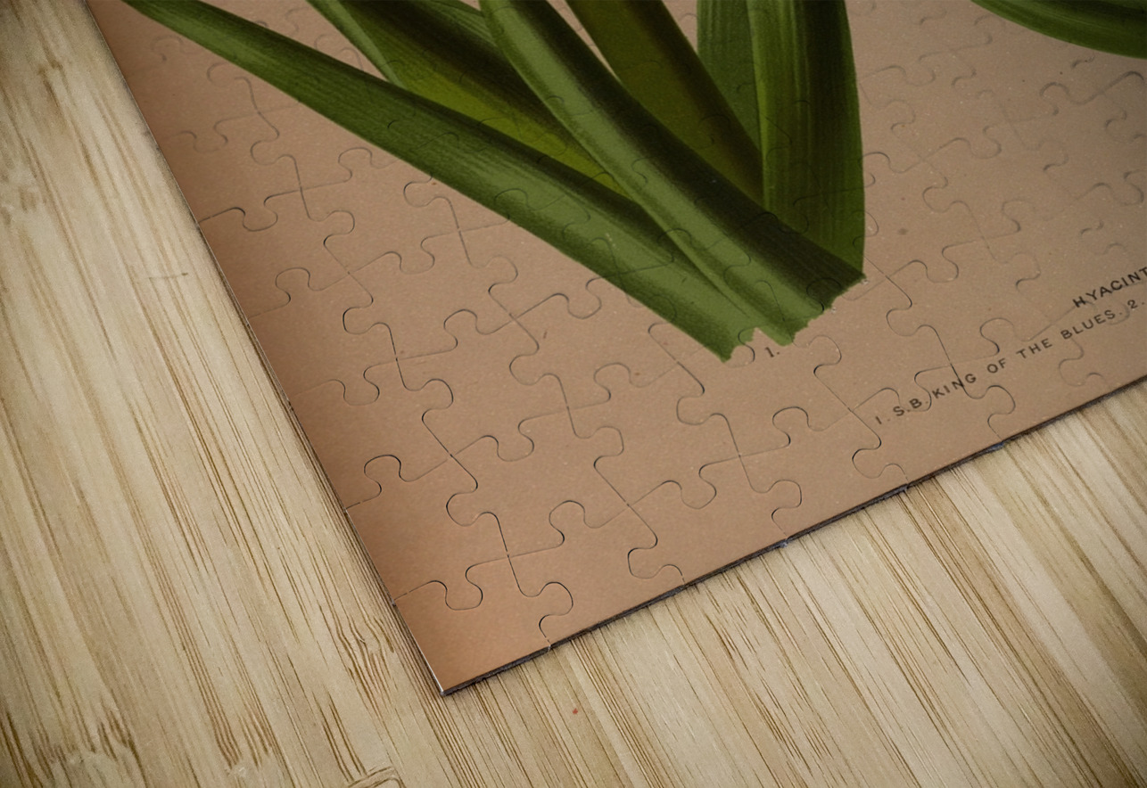 Album van Eeden : Haarlems flora : 1872-1881 IStockHistory com Puzzle