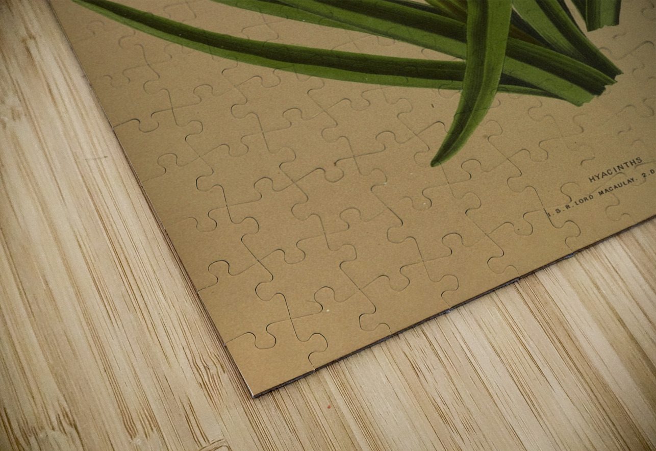 Album van Eeden : Haarlems flora : 1872-1881 IStockHistory com Puzzle