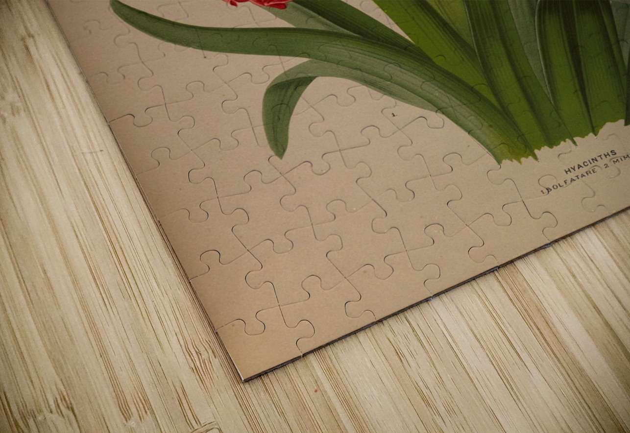 Album van Eeden : Haarlems flora : 1872-1881 IStockHistory com Puzzle