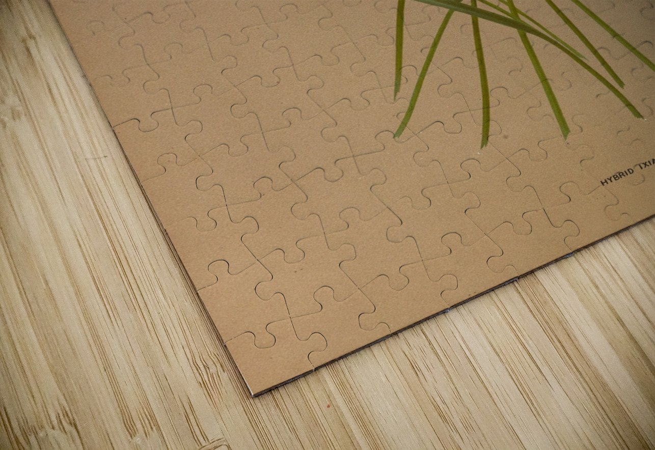 Album van Eeden : Haarlems flora : 1872-1881 IStockHistory com Puzzle