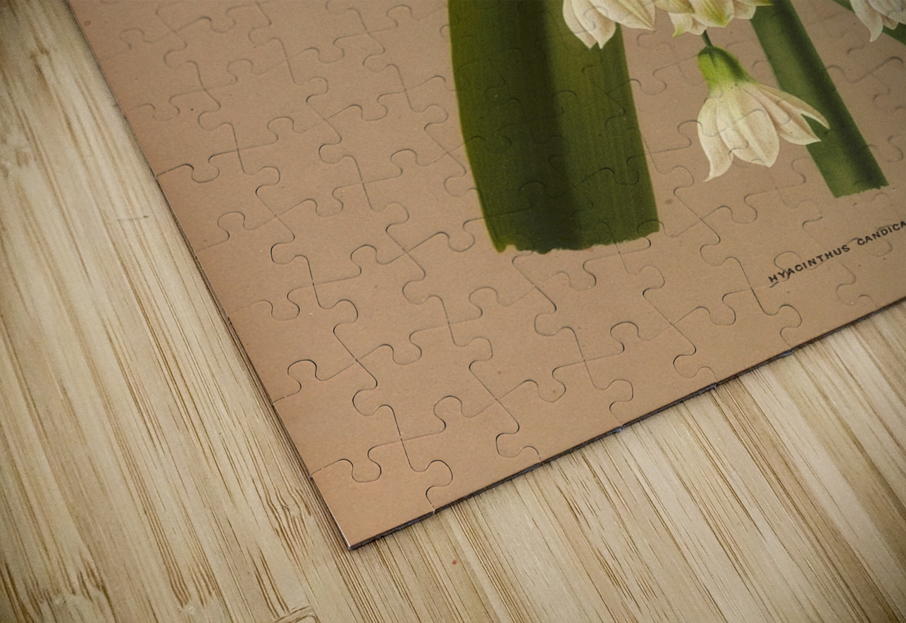 Album van Eeden : Haarlems flora : 1872-1881 IStockHistory com Puzzle