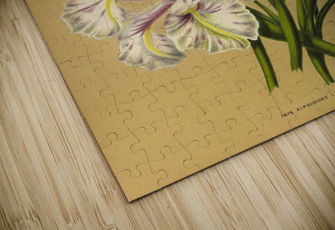 Album van Eeden : Haarlems flora : 1872-1881 IStockHistory com Puzzle