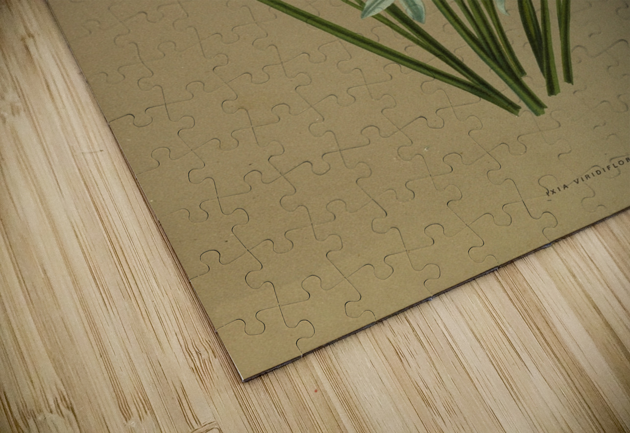 Album van Eeden : Haarlems flora : 1872-1881 IStockHistory com Puzzle