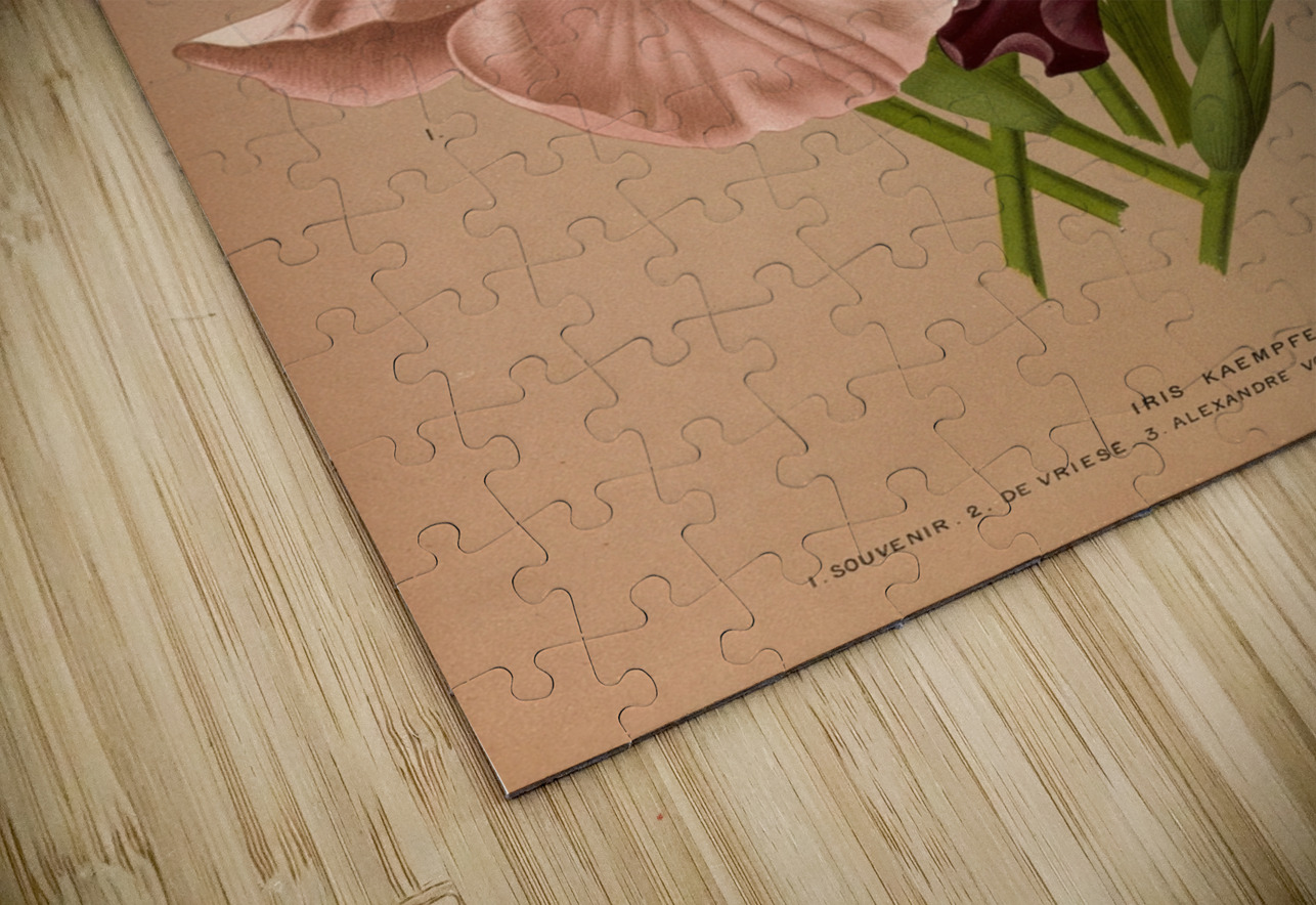 Album van Eeden : Haarlems flora : 1872-1881 IStockHistory com Puzzle