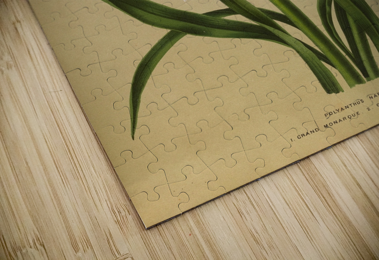 Album van Eeden : Haarlems flora : 1872-1881 IStockHistory com Puzzle