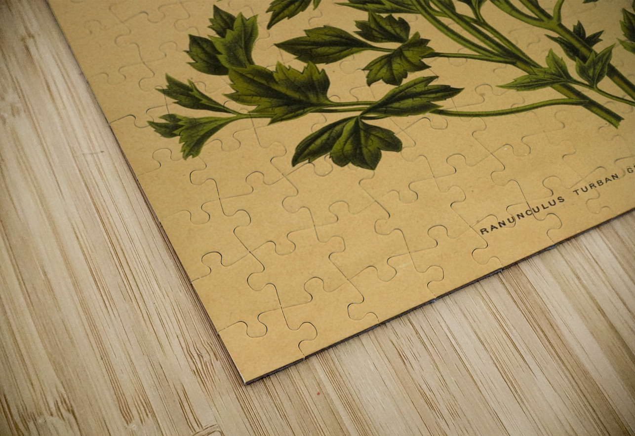 Album van Eeden : Haarlems flora : 1872-1881 IStockHistory com Puzzle