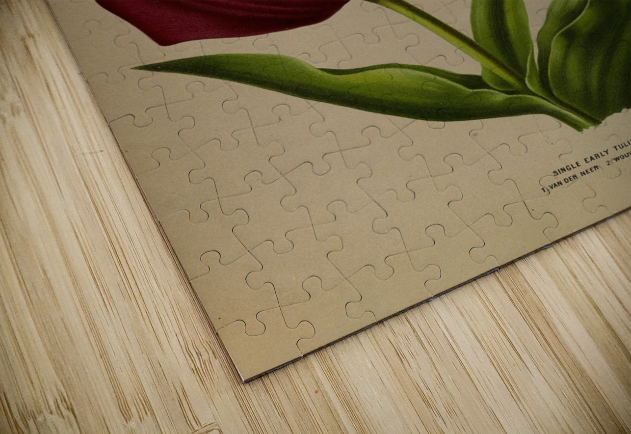 Album van Eeden : Haarlems flora : 1872-1881 IStockHistory com Puzzle