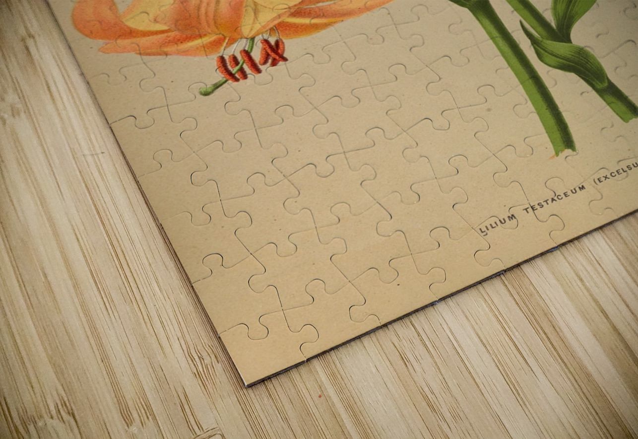 Album van Eeden : Haarlems flora : 1872-1881 IStockHistory com Puzzle