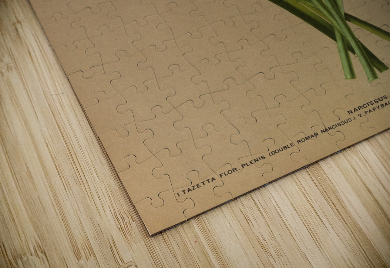 Album van Eeden : Haarlems flora : 1872-1881 IStockHistory com Puzzle