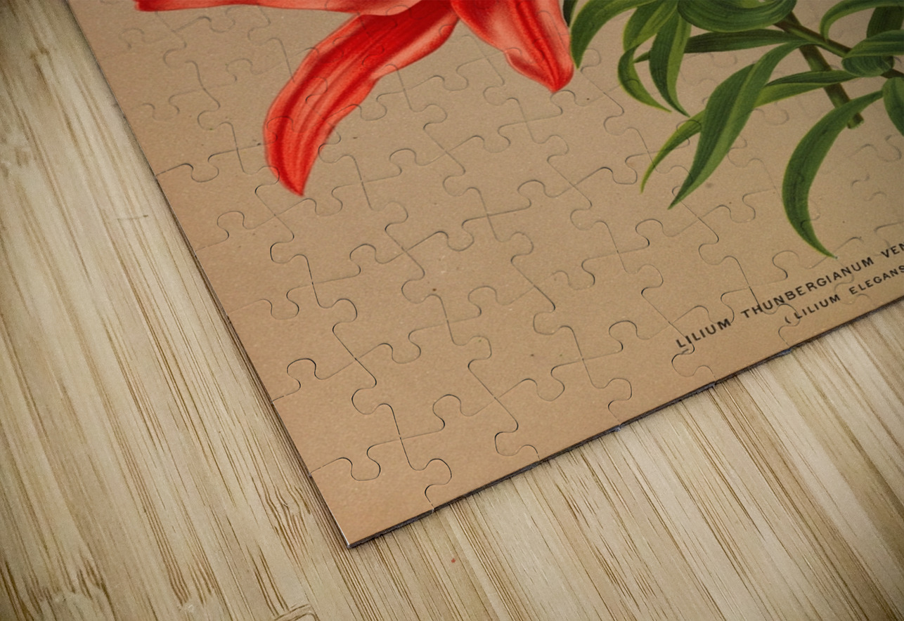 Album van Eeden : Haarlems flora : 1872-1881 IStockHistory com Puzzle