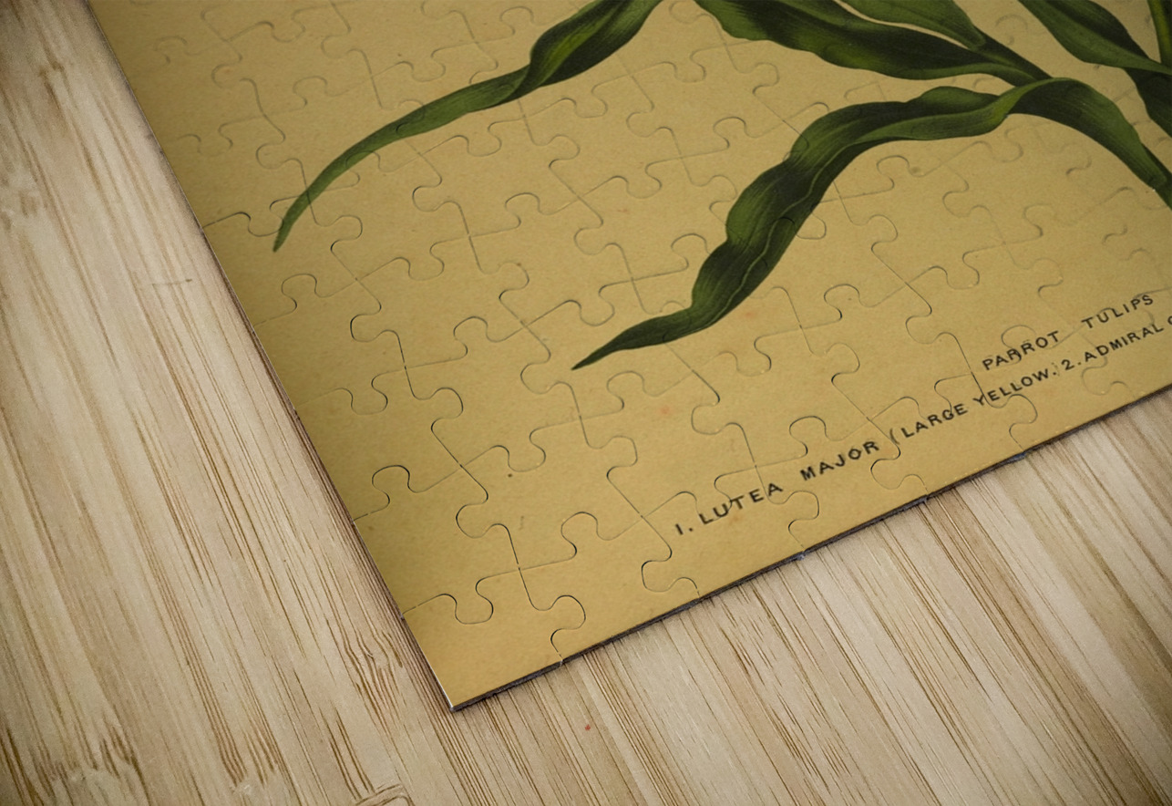 Album van Eeden : Haarlems flora : 1872-1881 IStockHistory com Puzzle