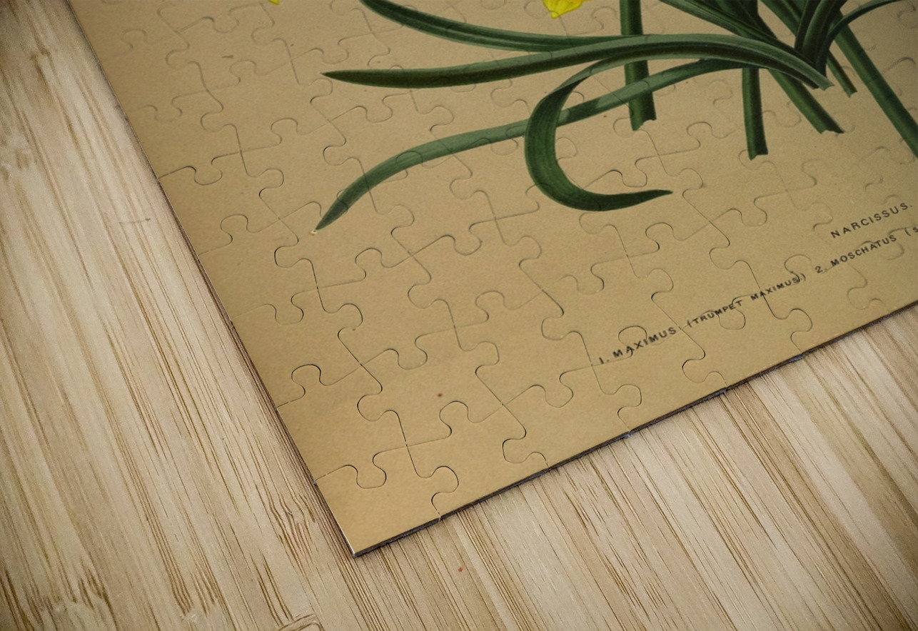 Album van Eeden : Haarlems flora : 1872-1881 IStockHistory com Puzzle