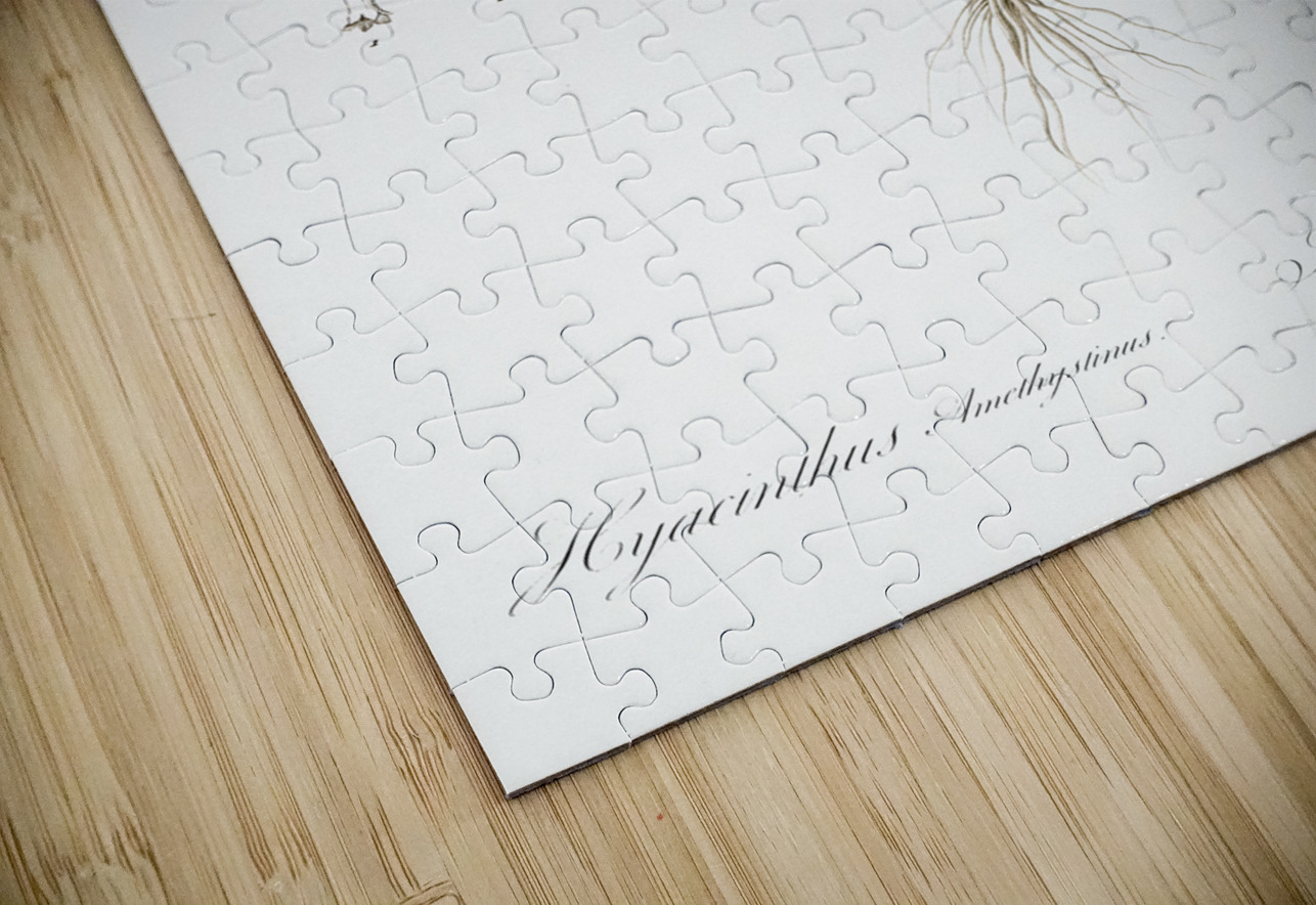 Brimeura illustration  IStockHistory com Puzzle