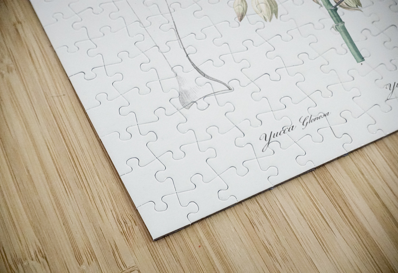 Adam needle illustration  IStockHistory com Puzzle