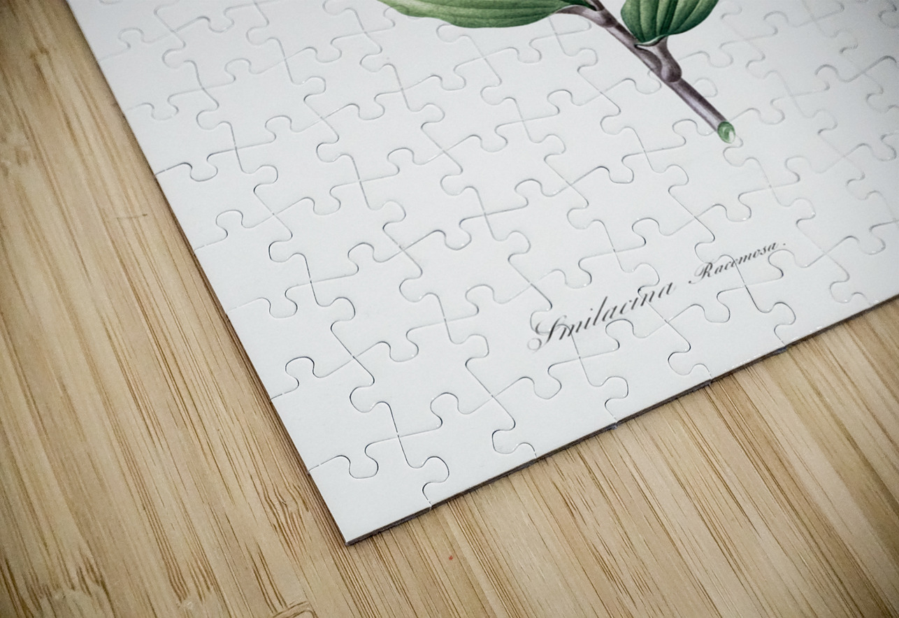 Treacleberry illustration  IStockHistory com Puzzle