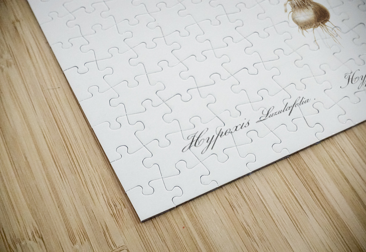 Weevil-wort illustration  IStockHistory com Puzzle