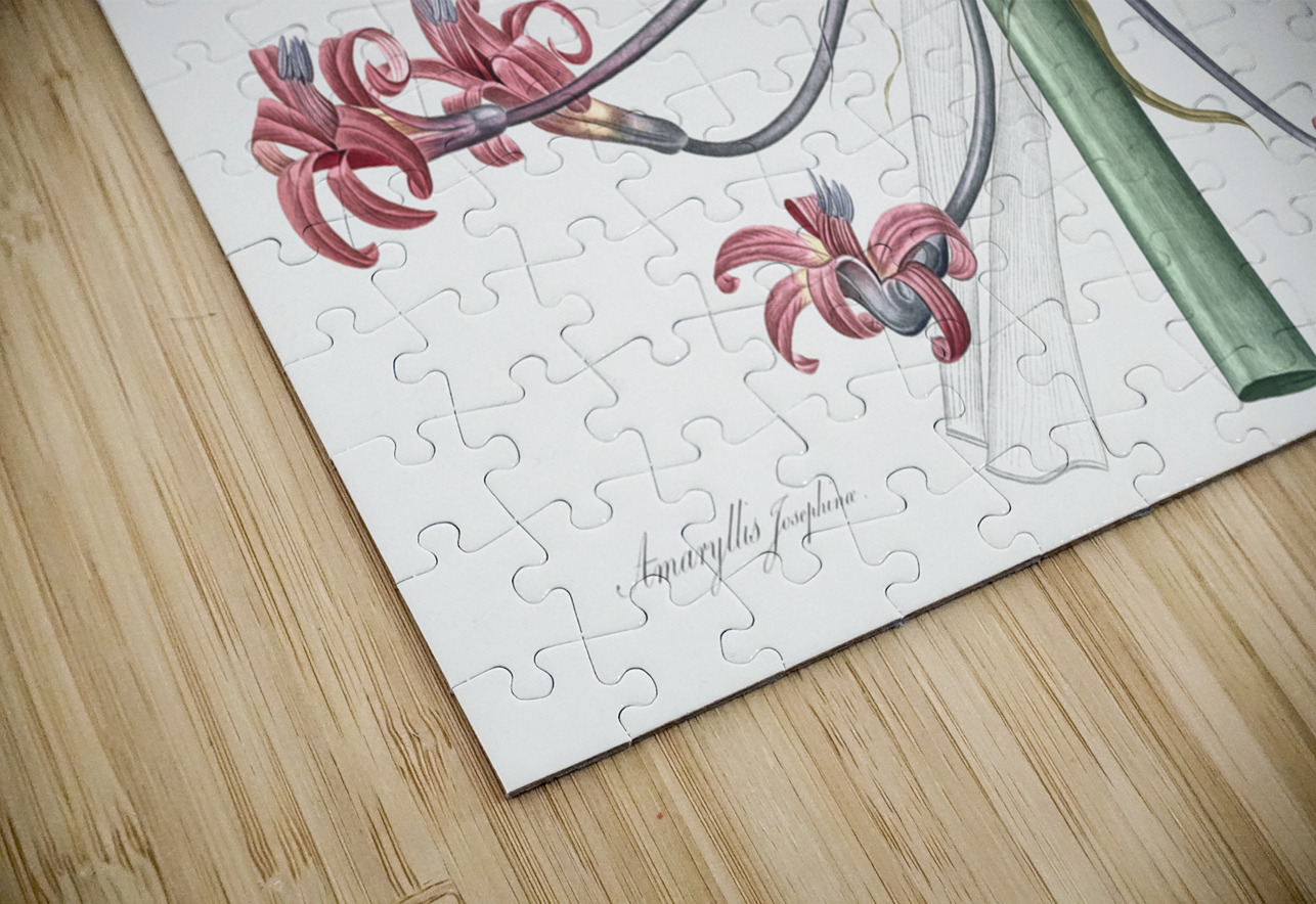 Josephine & lily illustration  IStockHistory com Puzzle