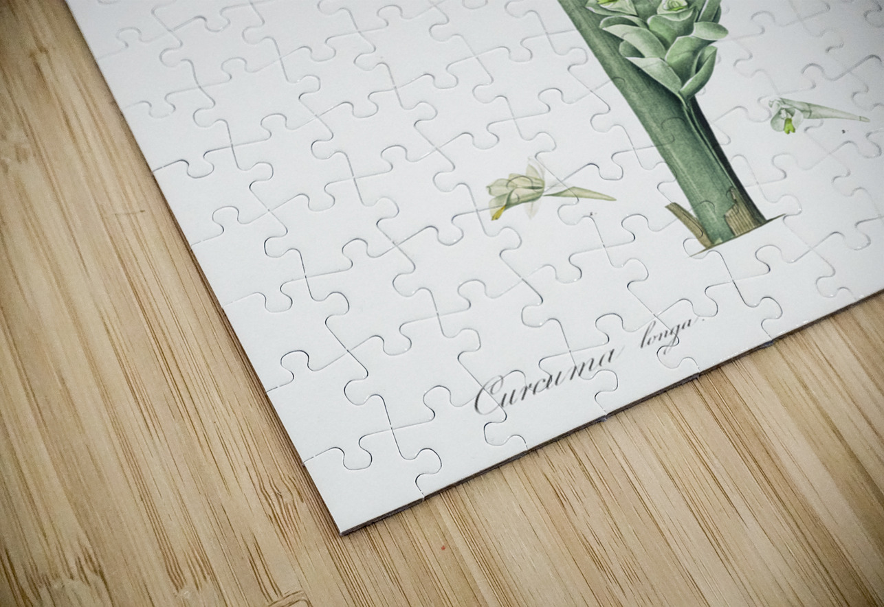 Turmeric illustration  IStockHistory com Puzzle