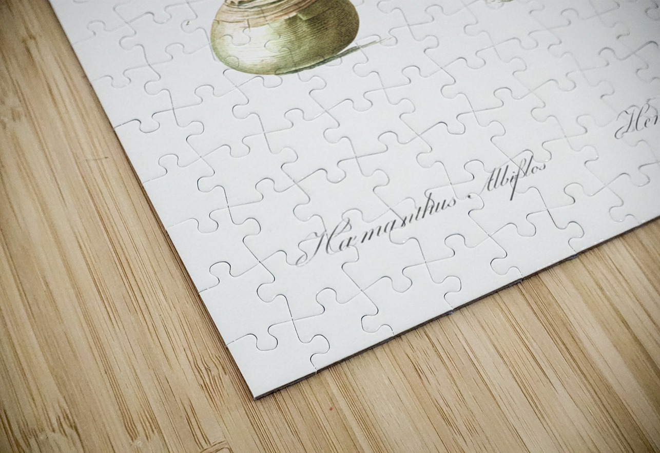 Paintbrush illustration  IStockHistory com Puzzle