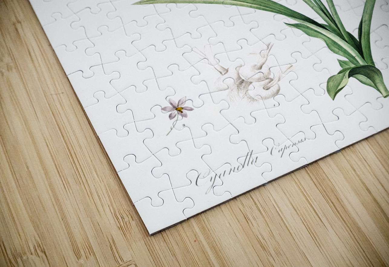 African flag illustration  IStockHistory com Puzzle