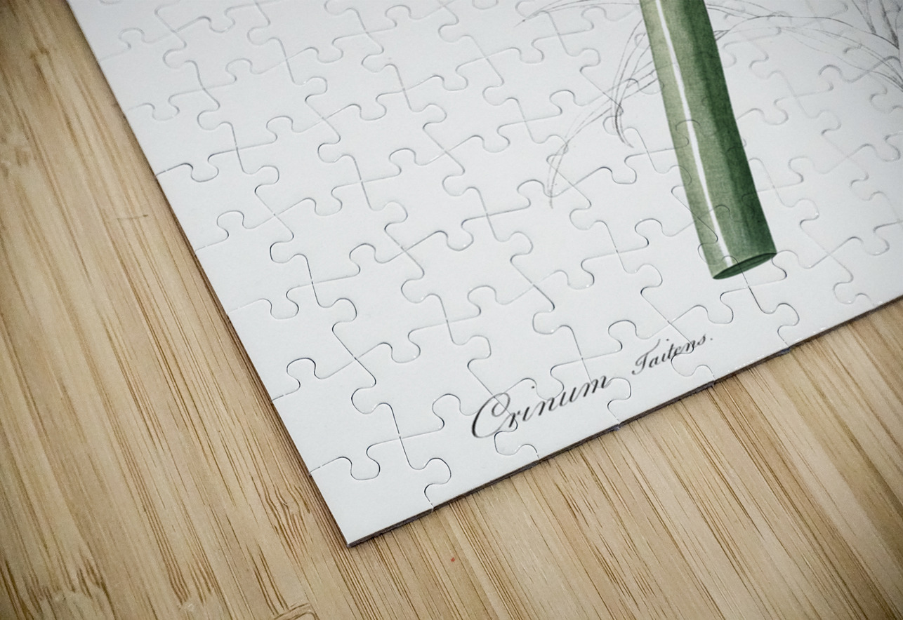 Poison bulb illustration  IStockHistory com Puzzle