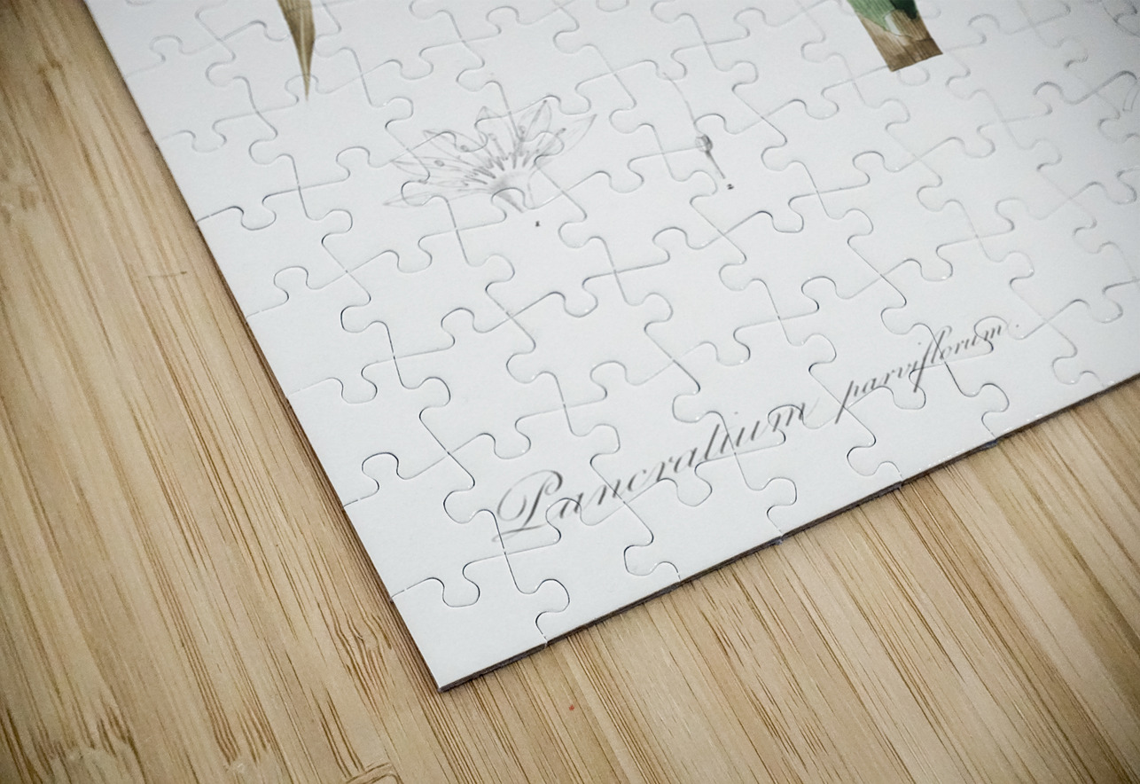 Poison bulb illustration  IStockHistory com Puzzle