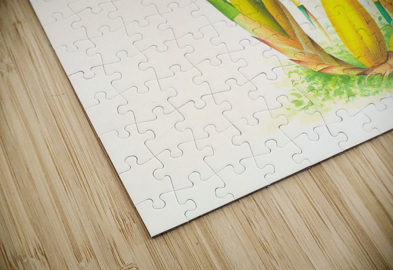 Miltonia blunti IStockHistory com Puzzle