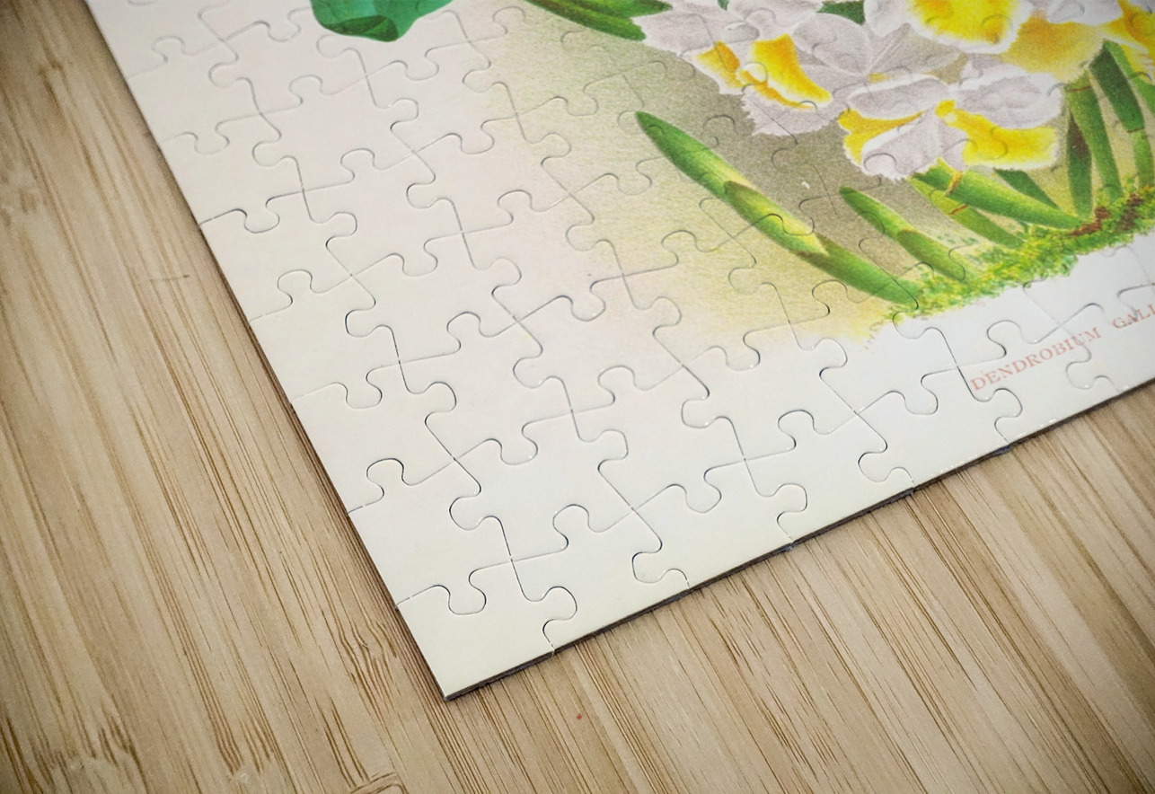 Dendrobium galliceanum IStockHistory com Puzzle
