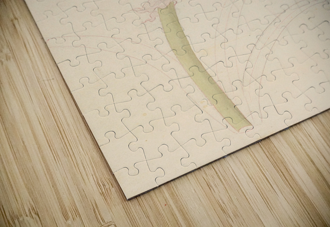 Amarillis [Crinum lineare] 1817 IStockHistory com Puzzle