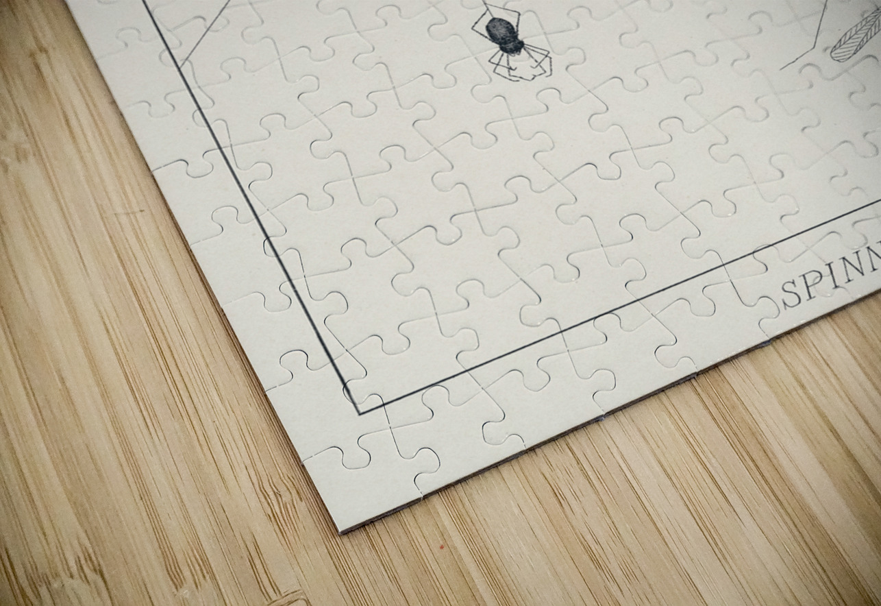 Lake Flies  IStockHistory com Puzzle