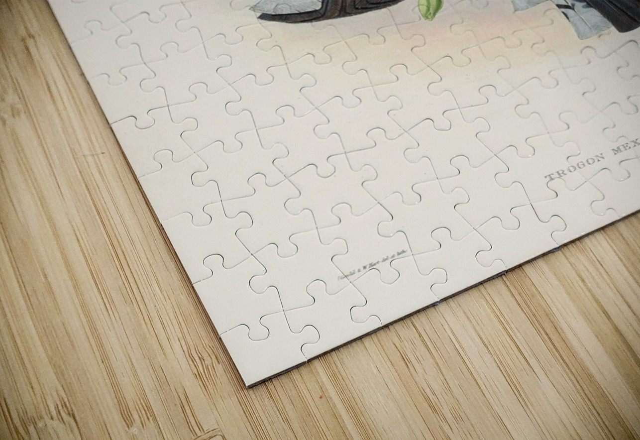 John Gould trogons 028 IStockHistory com Puzzle