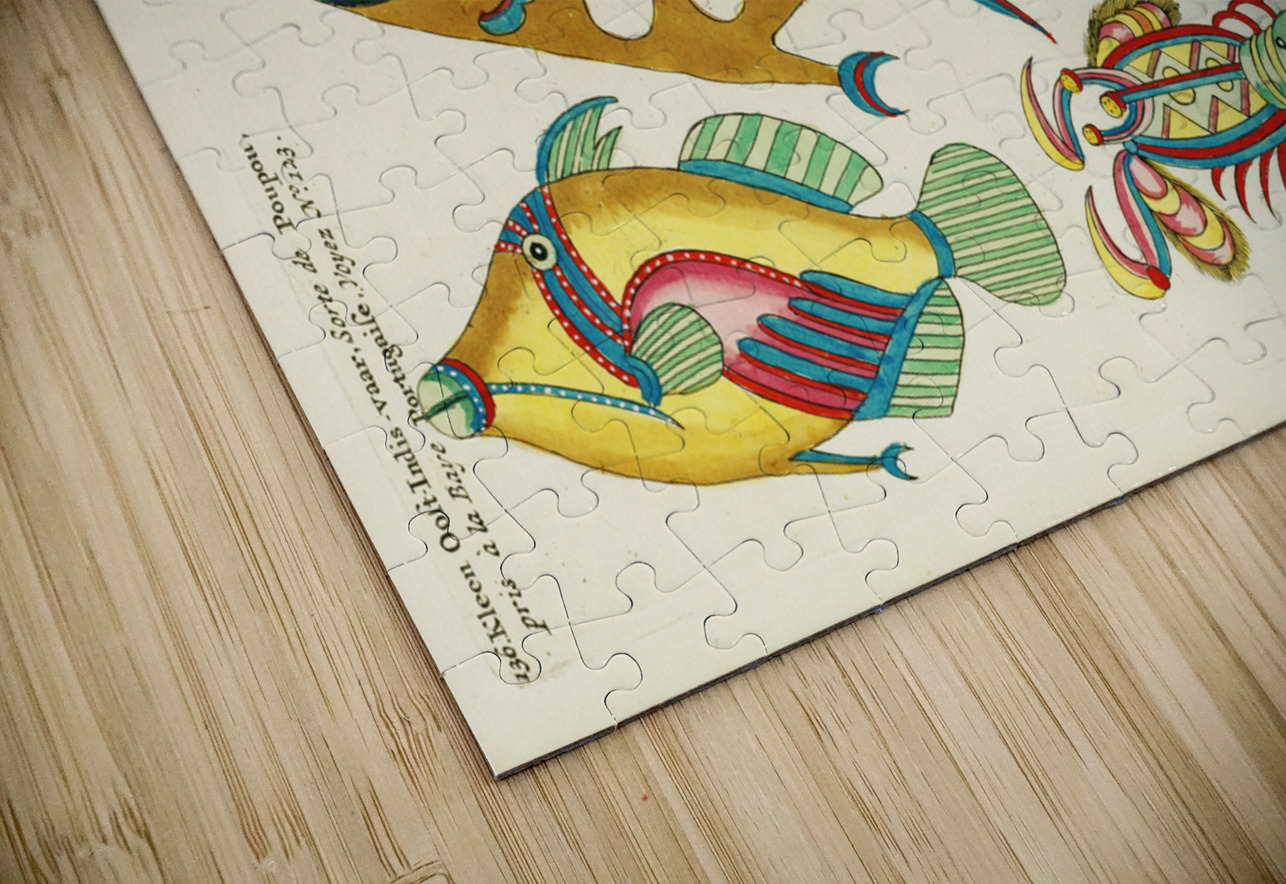 Colourful and surreal illustrations of maribe life found in Moluccas Indonesia and the East Indies by Louis Renard 1678 -1746 from Histoire naturelle des plus rares curiositez de la mer des Indes 1754. IStockHistory com Puzzle