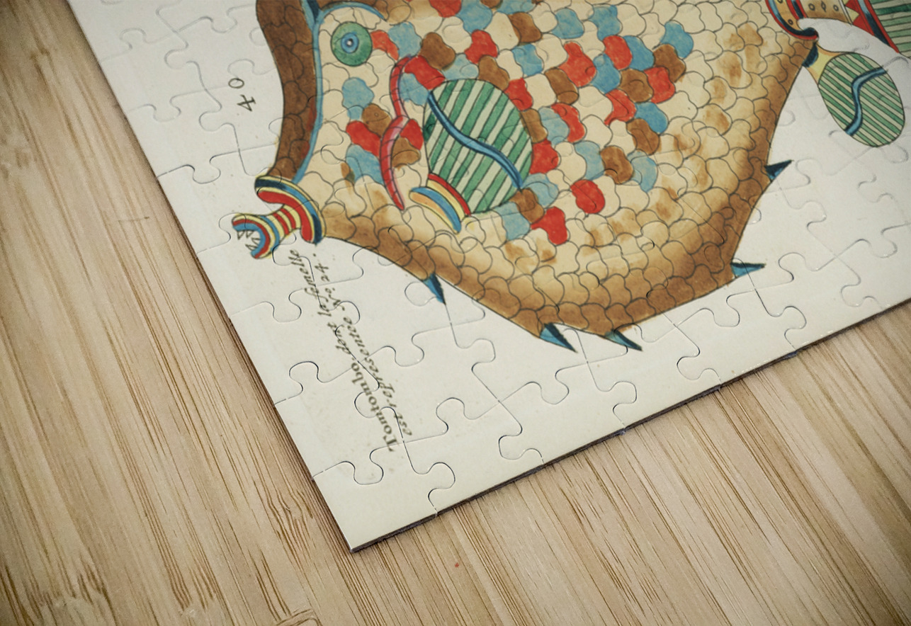 Colourful and surreal illustrations of fishes found in Moluccas Indonesia and the East Indies by Louis Renard 1678 -1746 from Histoire naturelle des plus rares curiositez de la mer des Indes 1754. IStockHistory com Puzzle