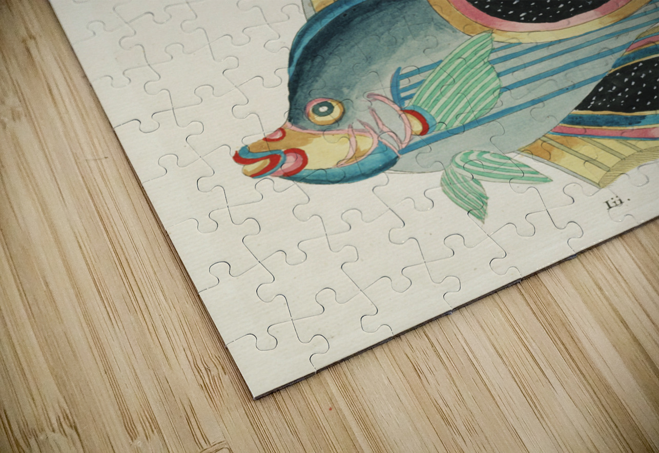 Colourful and surreal illustrations of fishes found in Moluccas Indonesia and the East Indies by Louis Renard 1678 -1746 from Histoire naturelle des plus rares curiositez de la mer des Indes 1754. IStockHistory com Puzzle