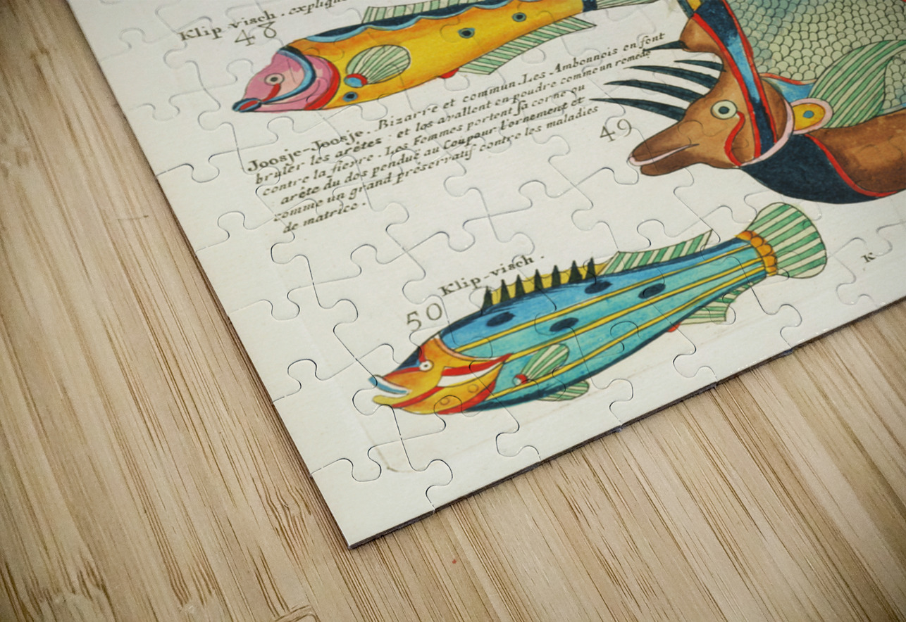 Colourful and surreal illustrations of fishes found in Moluccas Indonesia and the East Indies by Louis Renard 1678 -1746 from Histoire naturelle des plus rares curiositez de la mer des Indes 1754. IStockHistory com Puzzle