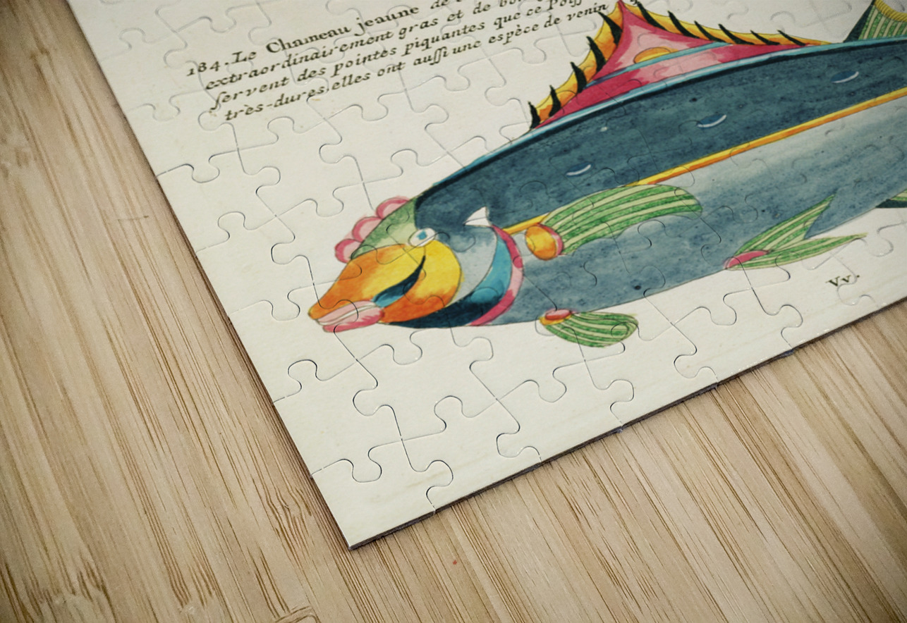 Colourful and surreal illustrations of fishes found in Moluccas Indonesia and the East Indies by Louis Renard 1678 -1746 from Histoire naturelle des plus rares curiositez de la mer des Indes 1754. IStockHistory com Puzzle