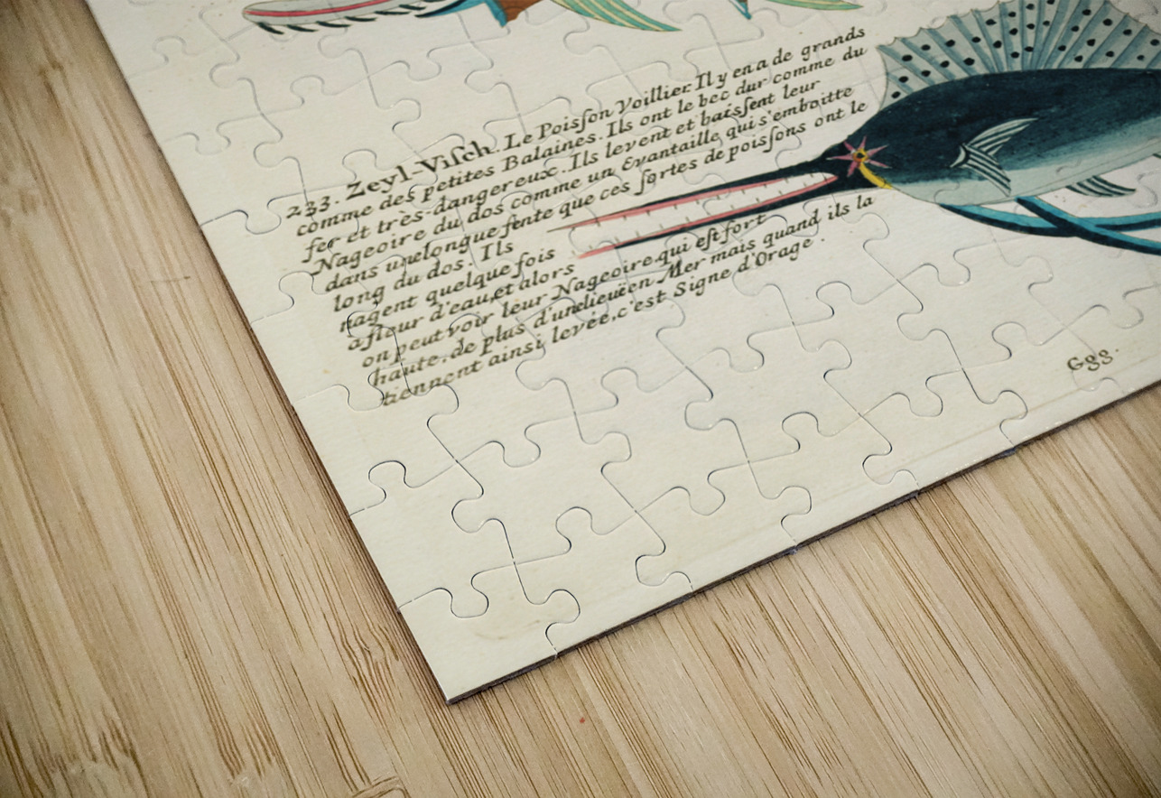 Colourful and surreal illustrations of fishes found in Moluccas Indonesia and the East Indies by Louis Renard 1678 -1746 from Histoire naturelle des plus rares curiositez de la mer des Indes 1754. IStockHistory com Puzzle