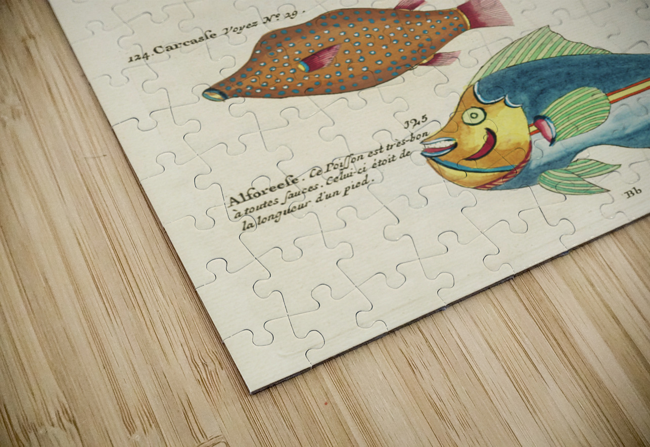 Colourful and surreal illustrations of fishes found in Moluccas Indonesia and the East Indies by Louis Renard 1678 -1746 from Histoire naturelle des plus rares curiositez de la mer des Indes 1754. IStockHistory com Puzzle