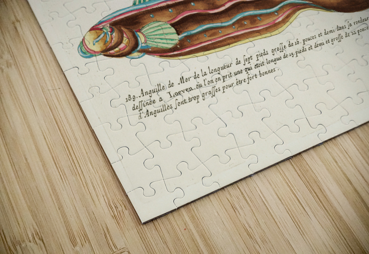 Colourful and surreal illustrations of fish and lobster found in Moluccas Indonesia and the East Indies by Louis Renard 1678 -1746 from Histoire naturelle des plus rares curiositez de la mer des Indes 1754. IStockHistory com Puzzle