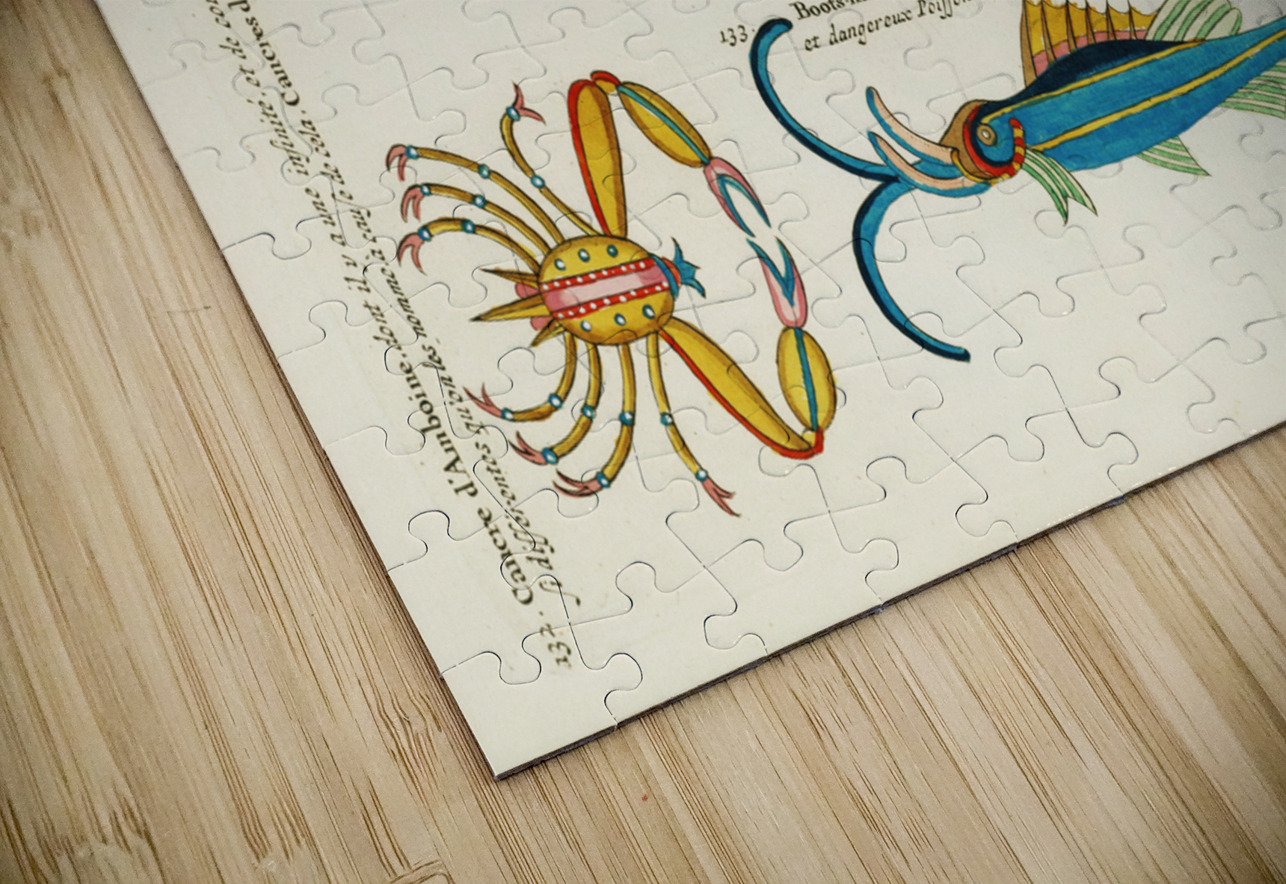 Colourful and surreal illustrations of fishes and crab found in Moluccas Indonesia and the East Indies by Louis Renard 1678 -1746 from Histoire naturelle des plus rares curiositez de la mer des Indes 1754. IStockHistory com Puzzle