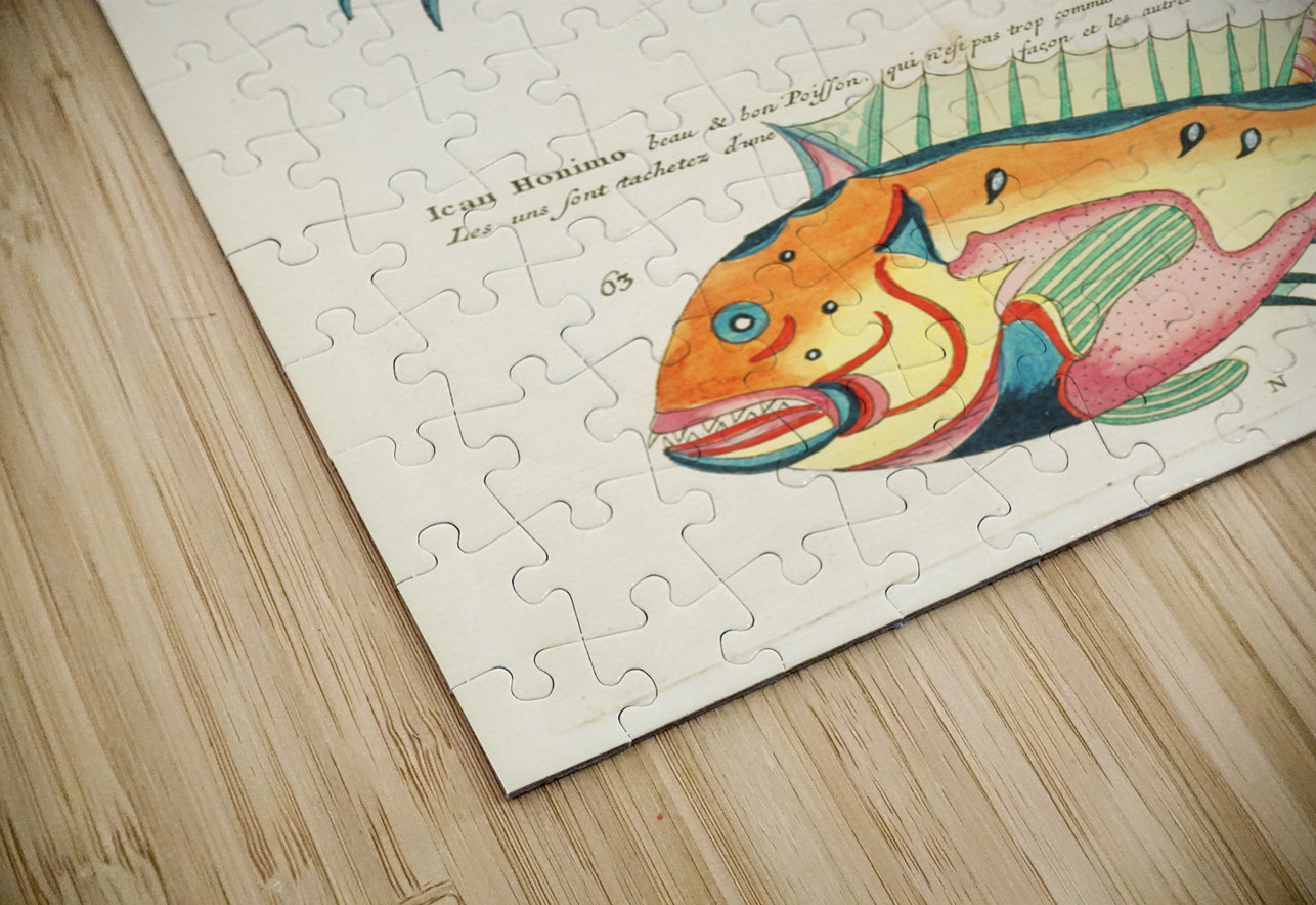 Colourful and surreal illustrations of fishes found in Moluccas Indonesia and the East Indies by Louis Renard 1678 -1746 from Histoire naturelle des plus rares curiositez de la mer des Indes 1754. IStockHistory com Puzzle
