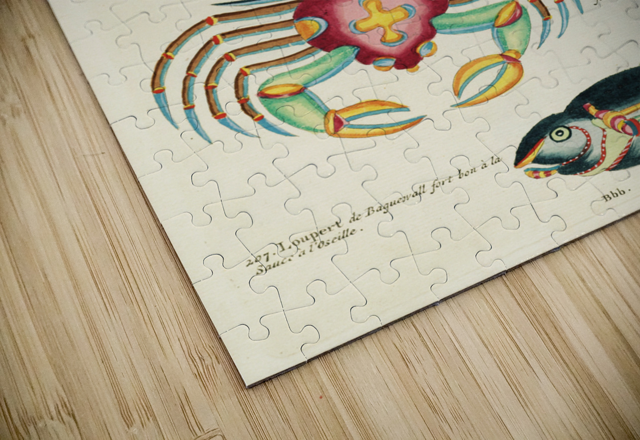 Colourful and surreal illustrations of fishes and crabs found in Moluccas Indonesia and the East Indies by Louis Renard 1678 -1746 from Histoire naturelle des plus rares curiositez de la mer des Indes 1754. IStockHistory com Puzzle